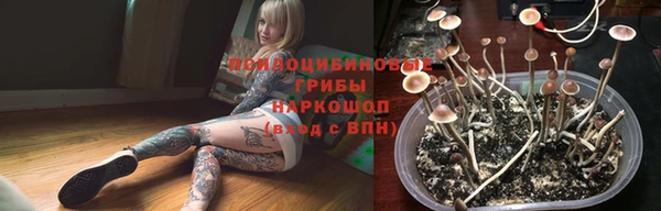 кокаин Белокуриха
