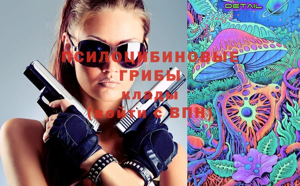 кокаин Белокуриха
