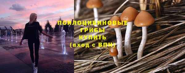 таблы Беломорск