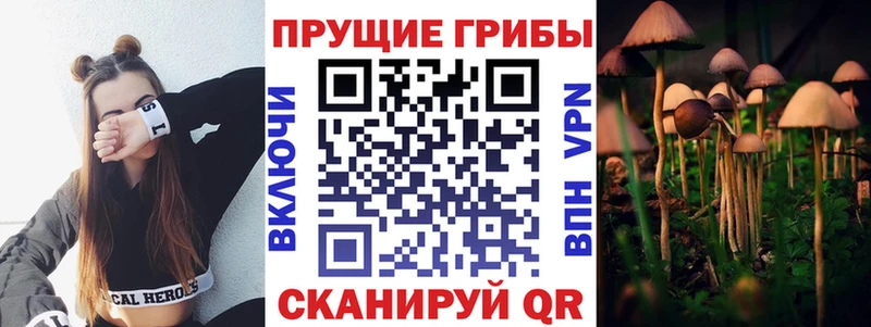 Псилоцибиновые грибы мицелий  купить наркоту  мега ссылки  Реж 