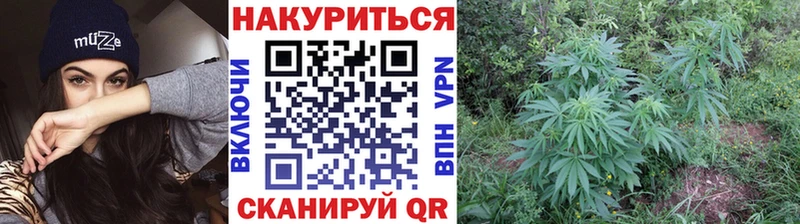 Бошки Шишки VHQ  blacksprut как зайти  Реж 